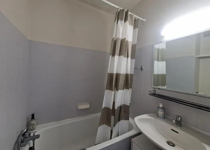 Le Nelaton #confort 公寓 *